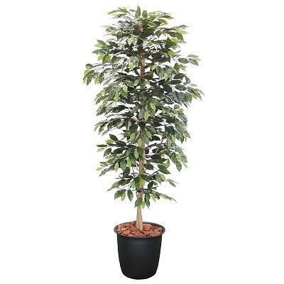ベンジャミン H1800mm HBKD-2-005　観葉植物　フェイクグリーン　インテリアグリーン　オフィスグリーン