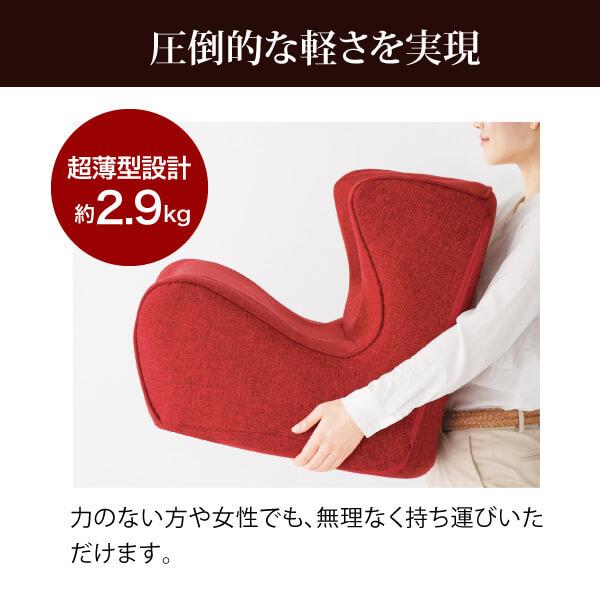 アール・エフ・ヤマカワ (個人宅配送可能商品)Styleシリーズ Dr. Chair