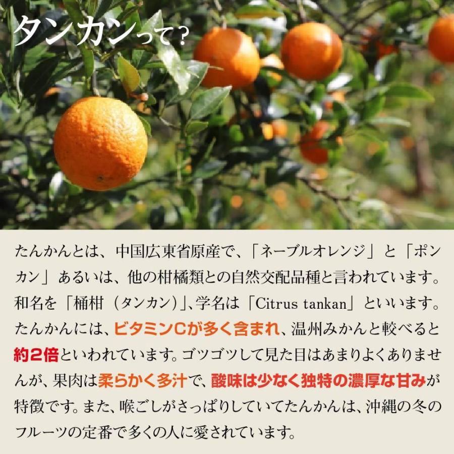 ★ご注文順に出荷中★ 沖縄県産 タンカン 約5kg 送料無料 沖縄 たんかん フルーツ みかん 季節限定 限定 果物 |  | 01