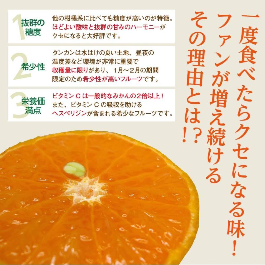 ★ご注文順に出荷中★ 沖縄県産 タンカン 約5kg 送料無料 沖縄 たんかん フルーツ みかん 季節限定 限定 果物 |  | 02