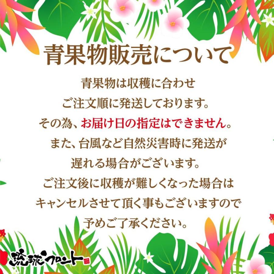 ★ご注文順に出荷中★ 沖縄県産 タンカン 約5kg 送料無料 沖縄 たんかん フルーツ みかん 季節限定 限定 果物 |  | 04