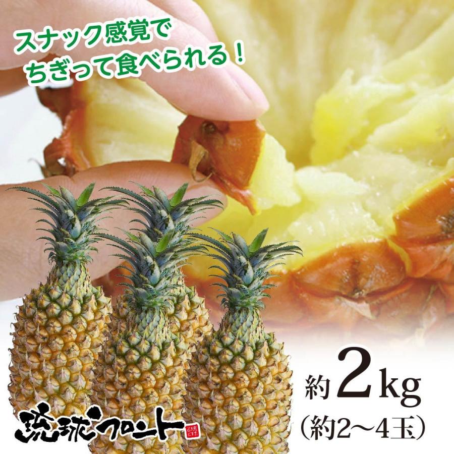 1194円 【本日特価】 スナックパイン 3個 沖縄県産 ちぎって食べれるパイナップル 南国フルーツ 3玉 約2kg