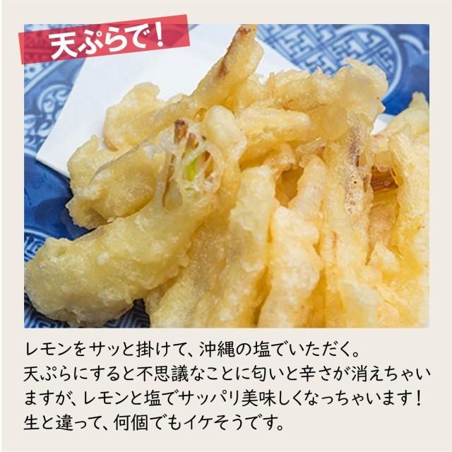 沖縄産 島らっきょう 2kg 500gｘ4束 送料無料 沖縄県産 島ラッキョウ らっきょう 季節限定 限定 期間限定 天ぷら ポイント利用 | 琉球フロント沖縄 | 04
