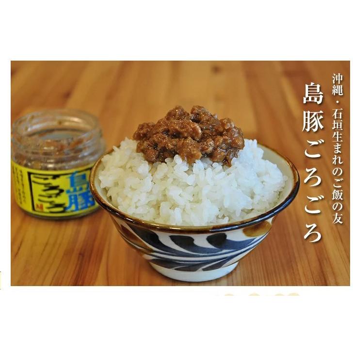 島豚ごろごろ 辛 島唐辛子 120g×5個セット 送料無料 沖縄 ご飯のお供 唐辛子味噌 肉味噌 肉みそ あんだす アンダンス ゴーヤカンパニー｜rfos｜02