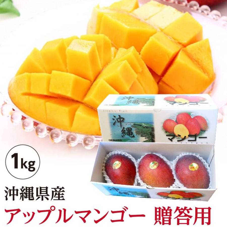 安値 沖縄県産 アップルマンゴー 贈答用 約1kg 2玉〜3玉 沖縄 マンゴー