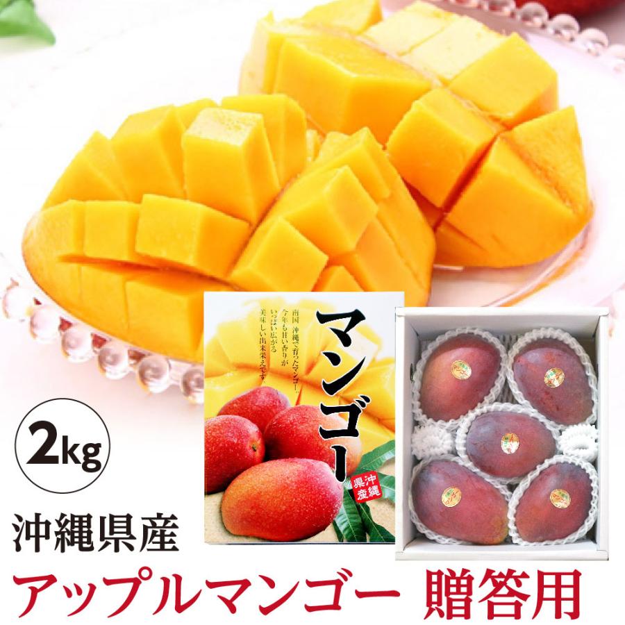 ☆台風6号の影響の為、出荷日未定☆ 【送料無料】 沖縄県産 アップル