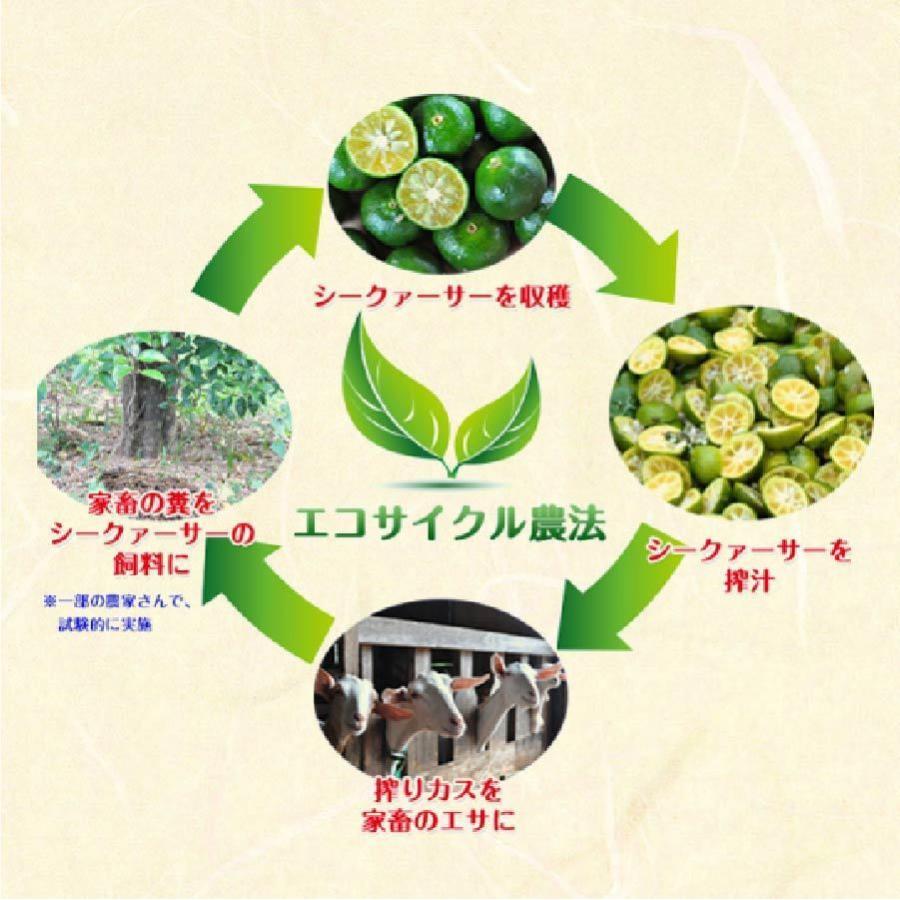 山原シークワーサー 2L×6本セット 送料無料 山原シークヮーサー 沖縄産