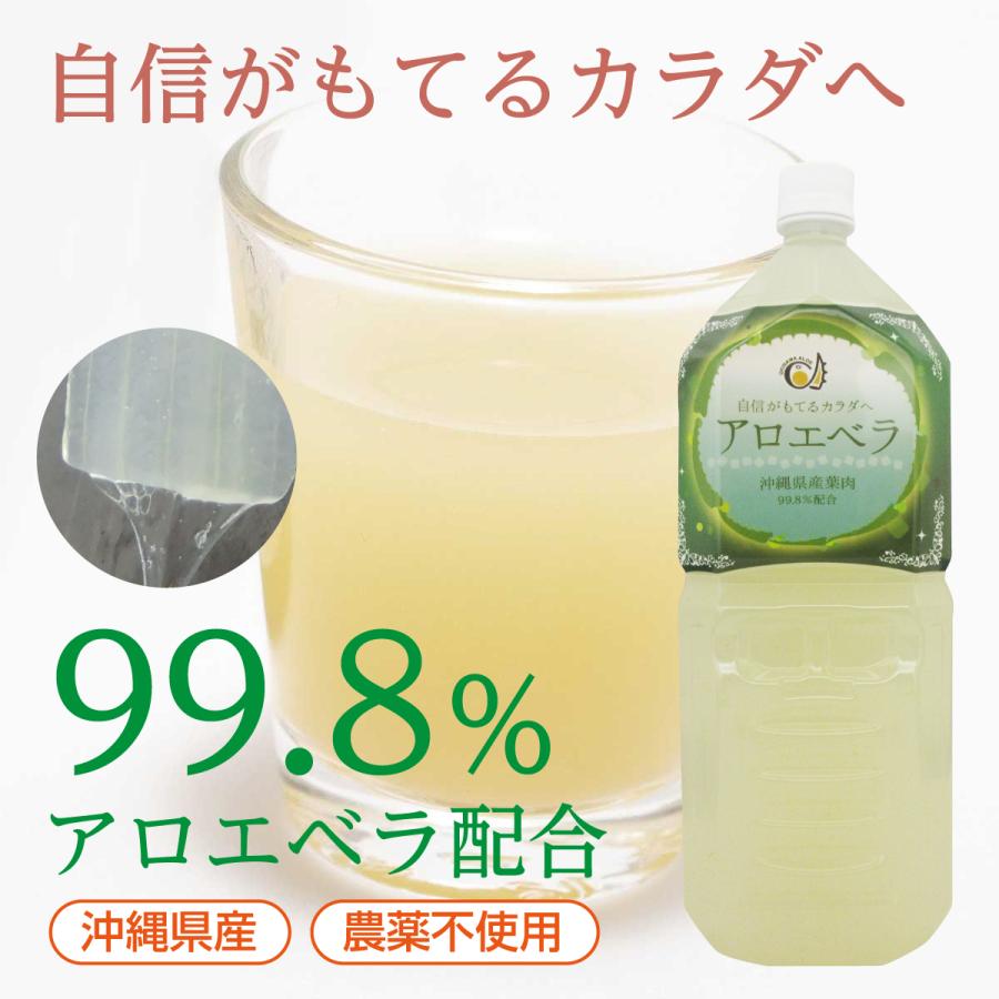 沖縄県産 アロエベラジュース 葉肉入り ペットボトル 2L×6本セット 送料無料 ゲル入り 国産 ジュース アロエベラ アロエ アロエドリンク 健康 美容 沖縄アロエ_1