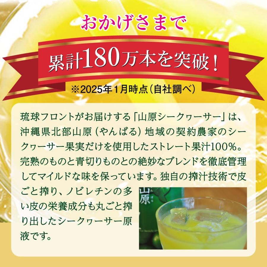 琉球フロント沖縄 山原シークワーサー 500ml×6本セット 沖縄 原液