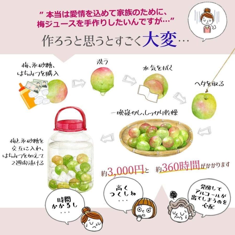 スミダ 薩摩西郷梅シロップ 1000ml 2本 22年のクリスマス