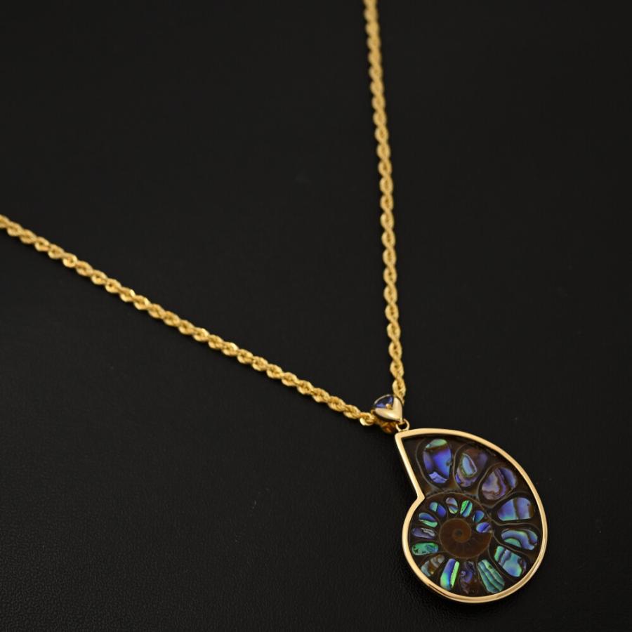 すんごい！アンモナイトのネックレスだよ！ TA:0.10ct/アンモナイト タンザナイト ネックレス・ペンダント