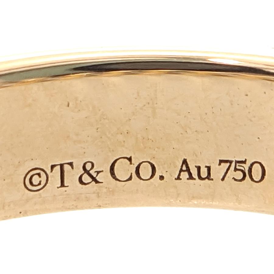 TIFFANY&Co. ティファニー 2P・ダイヤモンド マイクロチェーン