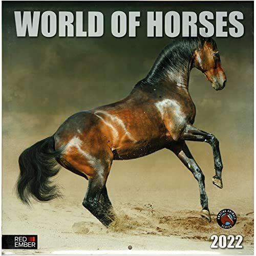 100％品質 of World Horses 壁掛けカレンダー 2022 カレンダー