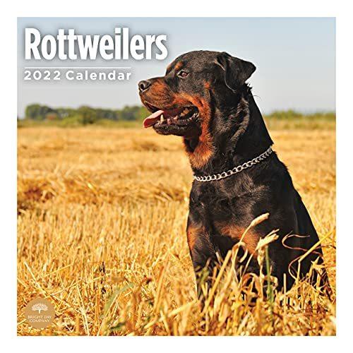 2022 Rottweilers Wall Calendar by Bright Day, 12 x 12 Inch, Cute Dog Puppy カレンダー 2022 Rottweilers Wall Calendar by Bright Day, 12 x 12 Inch, Cute Dog Puppy カレンダー