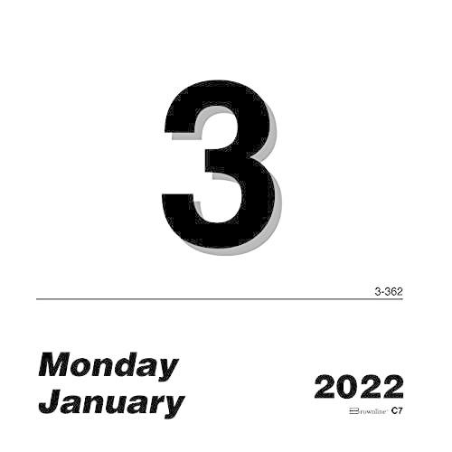 【500円引きクーポン】 Wall is" Daily"Today 2022 Brownline Calendar to January Months, 12 Refill, カレンダー