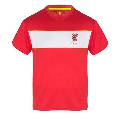 驚きの価格  Red - Gift Official - Poly Boys T-Shirt FC Liverpool White Years 4-5 Stripe シャツ