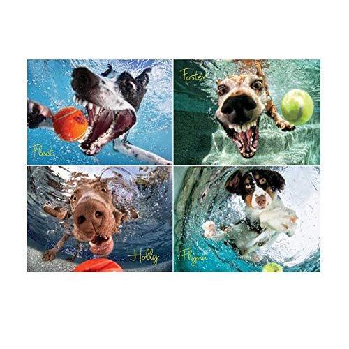 数々のアワードを受賞 Willow Creek 写真遊びボール ジグソーパズル 水中犬 大人用 1000ピースパズル Press ジグソーパズル Facturasrapidasec Com