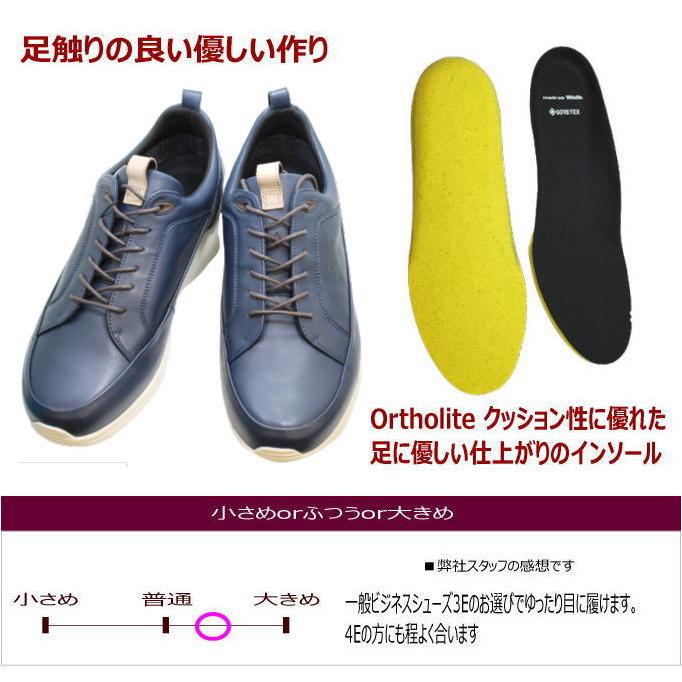 マドラスウォーク ゴアテックス MW7600 ネービー ウォーキングシューズ メンズ｜rhythm-shoes｜06