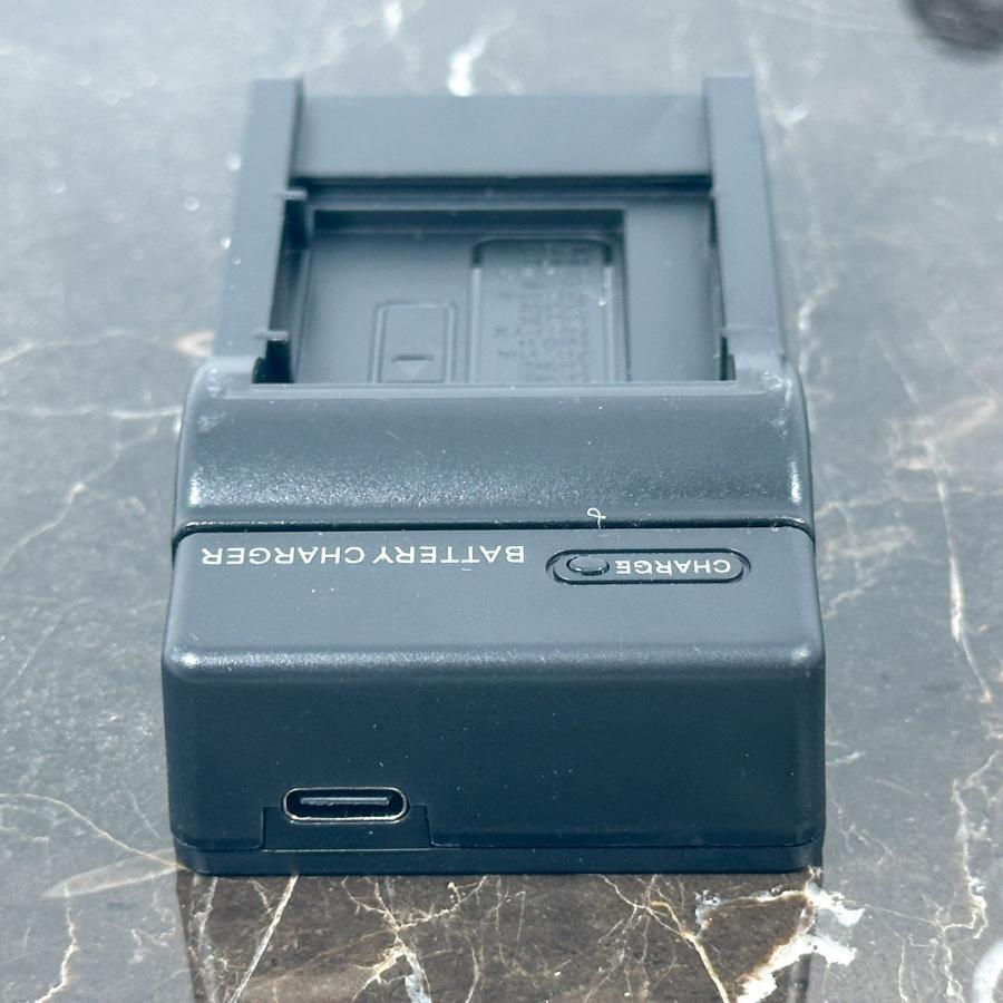 RICOH リコー DB-80 DB-100 BJ-11 用 互換充電器 USB-Cケーブル付き