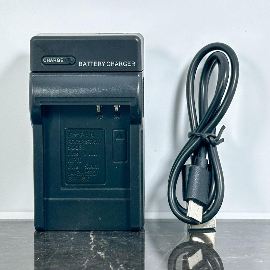 RICOH DB-60 DB-65用 互換充電器 USB-Cケーブル付き : りずむ商店