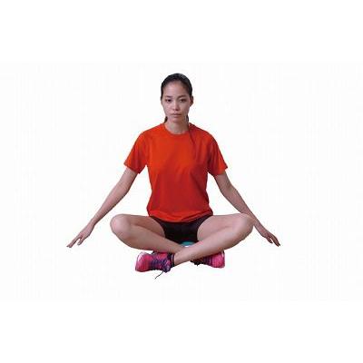 ニシスポーツ ケアディスク 陸上 ランニング ストレッチング NT7990