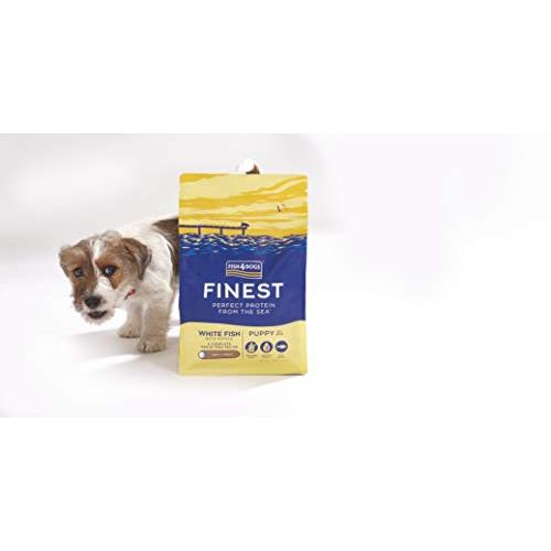 フィッシュ4ドッグ FISH 4 DOGS ドッグフード ファイネスト パピー 6kg 