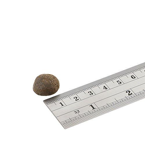 フィッシュ4ドッグ FISH 4 DOGS ドッグフード ファイネスト パピー 6kg 