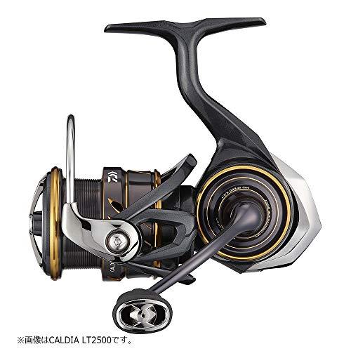 ダイワ(DAIWA) 21 カルディア LT3000-XH LT3000 XH