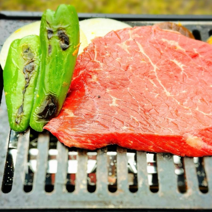 イワタニ 炉ばた焼器 炙りや 適合 バーベキュー 鉄板 グリルプレート