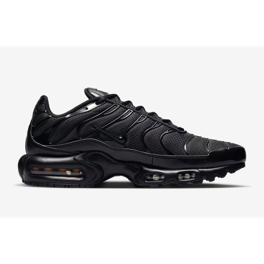 NIKE AIR MAX PLUS ナイキ エアマックス プラス 604133 050 : リ