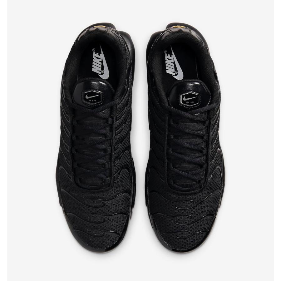 NIKE（ナイキ） NIKE AIR MAX PLUS エアマックス プラス 604133 050