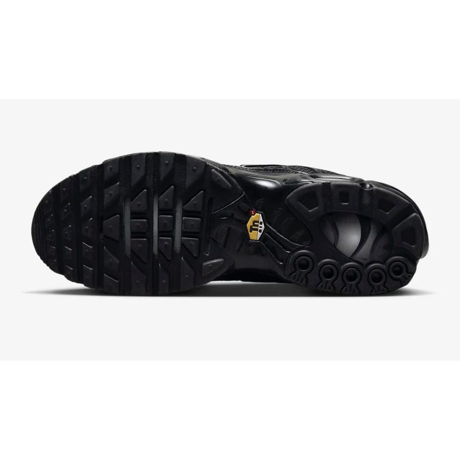 NIKE（ナイキ） NIKE AIR MAX PLUS エアマックス プラス 604133 050
