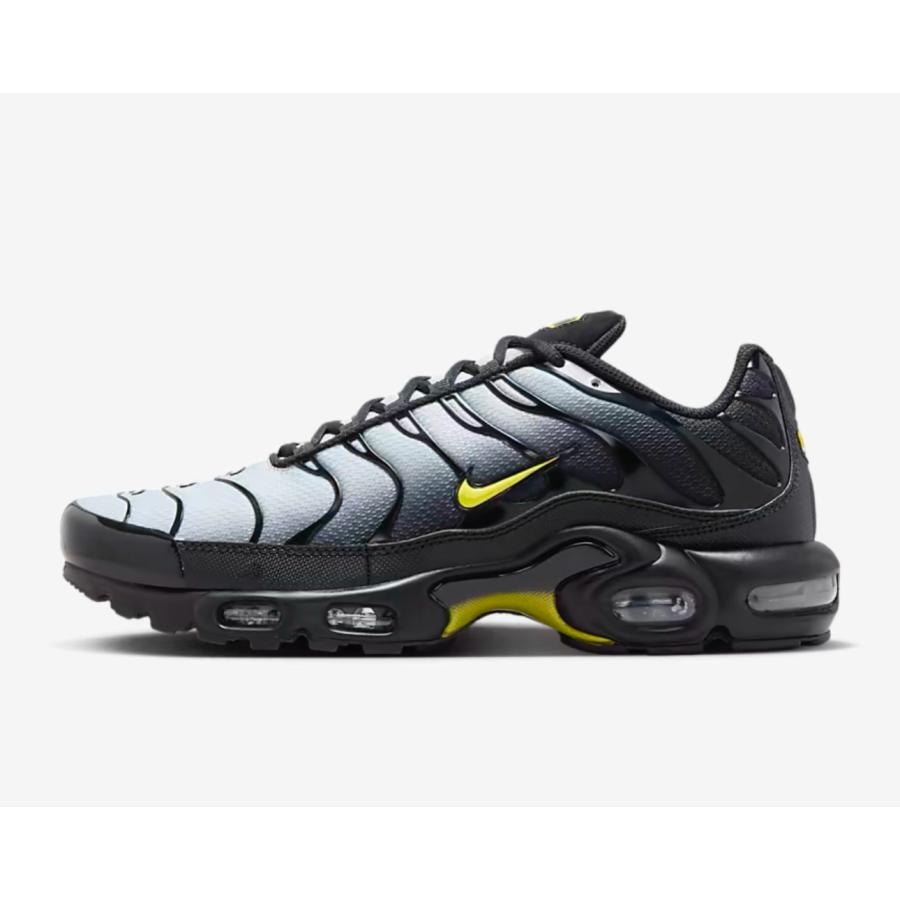 NIKE（ナイキ） NIKE AIR MAX PLUS エアマックス プラス DM0032 012