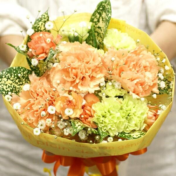 5 10から5 31の間で指定できます 5月限定 送料無料 誕生日に贈る花束 カーネーションと季節のお花のブーケ 色が選べます Fl 5gt 1 Fl 5gt 1 リボンネットショップ 通販 Yahoo ショッピング