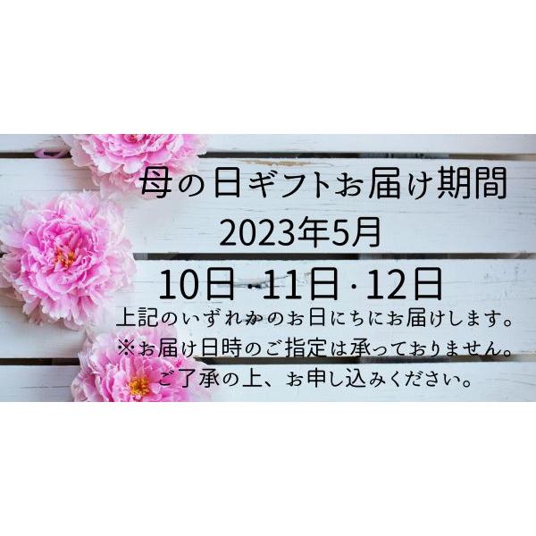 母の日 5月10日から5月12日のお届け 送料無料 生花 花束 カーネーションのブーケ (ピンク系) FL-MD-807｜ribbon-netshop｜05