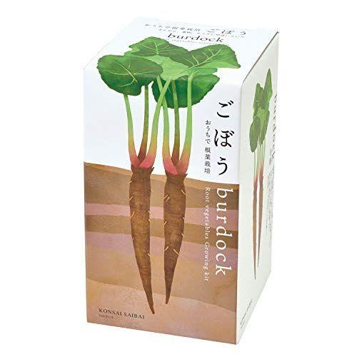 気質アップ 聖新陶芸 おうちで根菜栽培セット ごぼう サイズ M Artpassions Ch