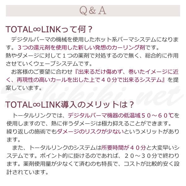 送料無料 Bnext デジタルパーマ機器専用 ホット系パーマシステム TOTAL