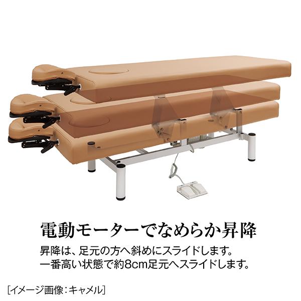 送料無料 フィフティ・ヴィジョナリー エステベッド 電動昇降
