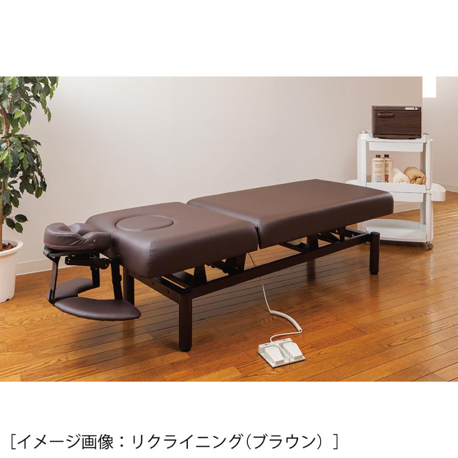 送料無料 フィフティ・ヴィジョナリー エステベッド ネチュラ 