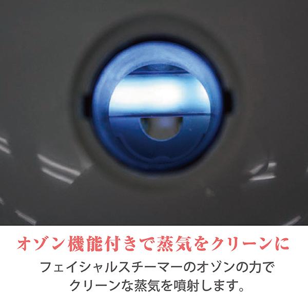 送料無料 フィフティヴィジョナリー エステスチーマー フェイシャル