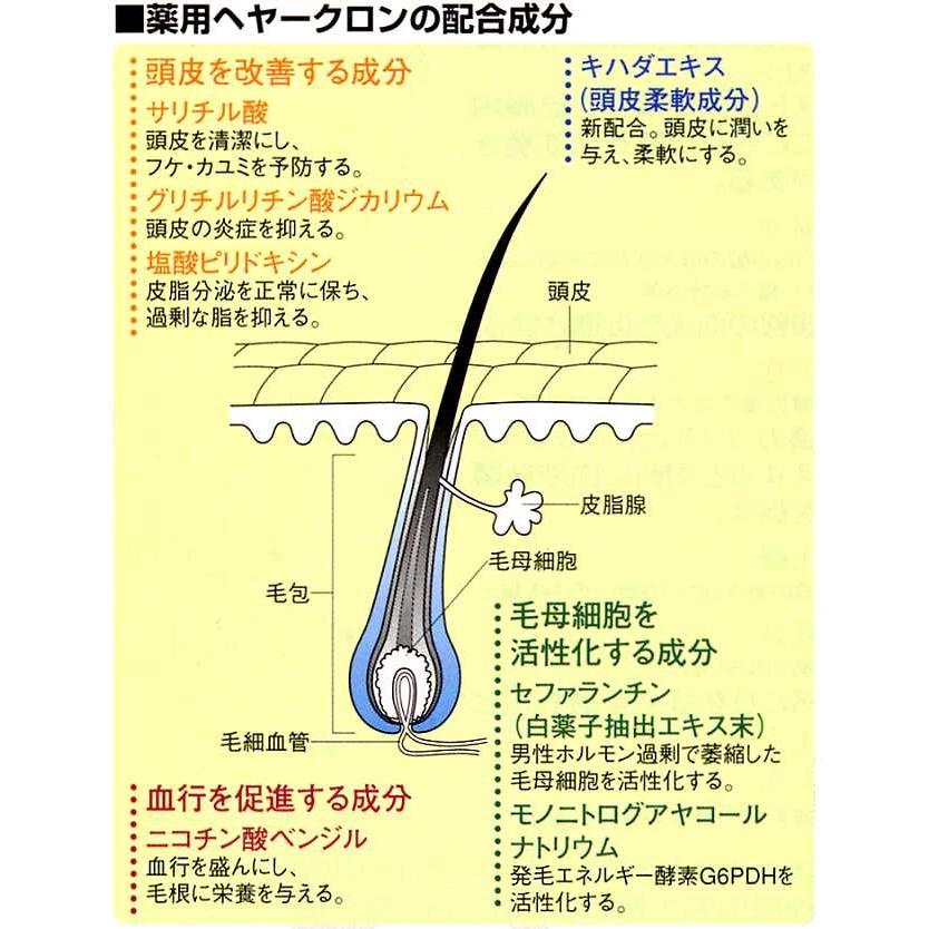 SUNSTAR（サンスター） 薬用 ヘヤークロンM 無香料 190ml 薄毛 フケ