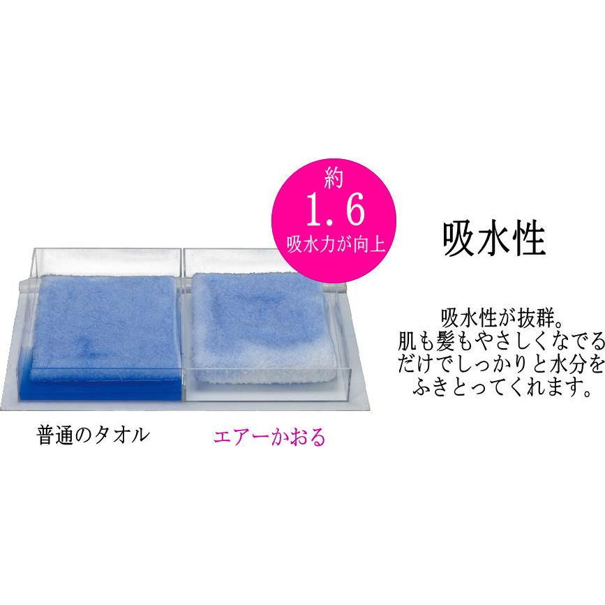 エアーかおる ＜ダキシメテフタバ＞ 2枚セット エニータイム 日本製 約