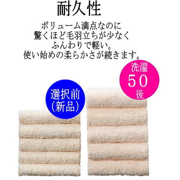 エアーかおる ＜ダキシメテフタバ＞ 2枚セット エニータイム 日本製 約