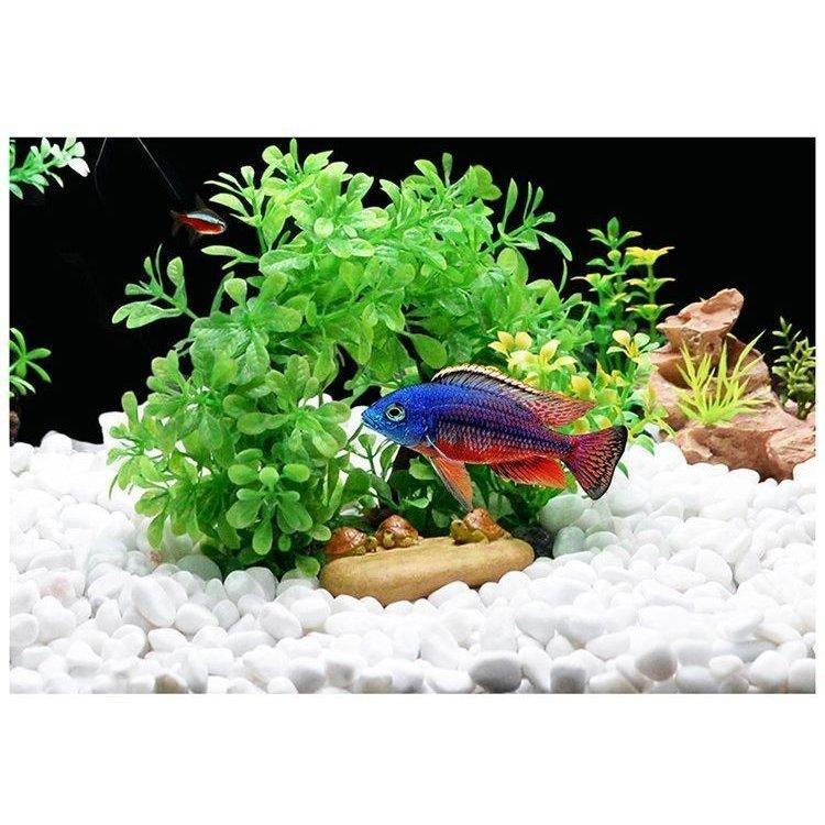 最も信頼できる 水槽用模型 オブジェ 熱帯魚 魚 アクアリウム 装飾 置物 飾り オーナメント キノコ サボテン 家 カメ おしゃれ かわいい Aynaelda Com