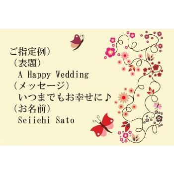 メッセージカード蝶柄 ギフト プレゼント メッセージ カード 蝶々蝶