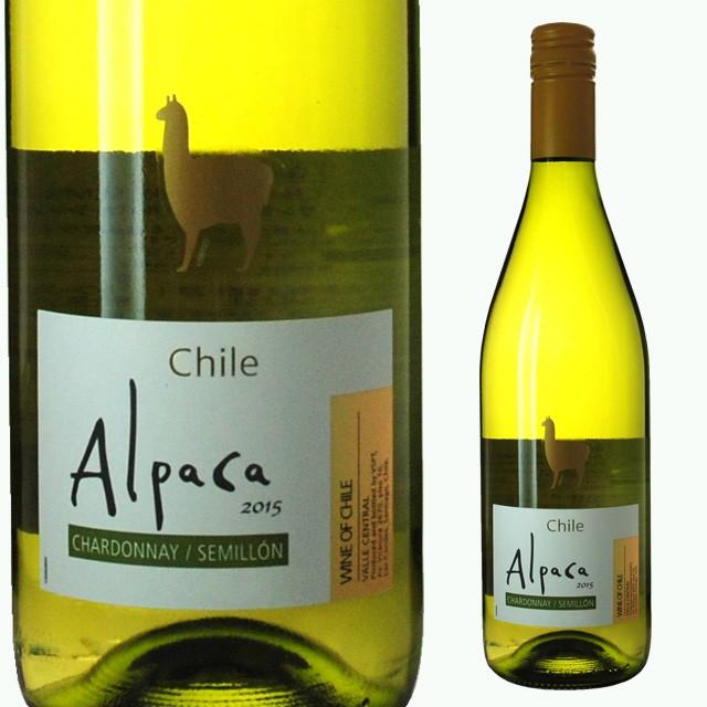 サンタ ヘレナ アルパカ シャルドネ セミヨン 750ml ワンコイン 箱なし ワイン 白ワイン チリ 辛口 白 酒 プレゼント ギフト チリワイン 結婚祝い 退職祝い リカオー Paypayモール店 通販 Paypayモール