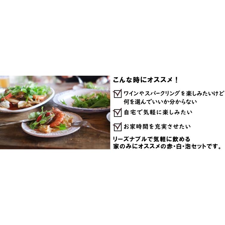 送無 セット6 赤 白 泡 家のみワイン6本セット 送料無料 赤ワイン 白ワイン スパークリング ドイツ イタリア フランス スペイン ギフト リカオー Paypayモール店 通販 Paypayモール