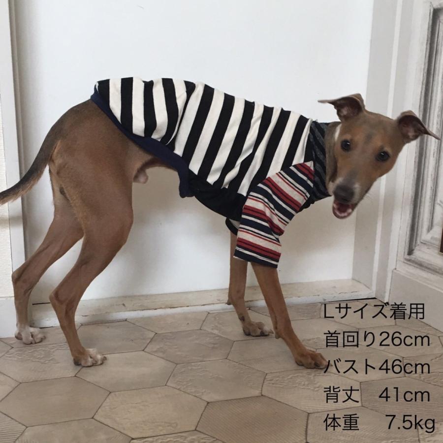 【ジジ】セントジェームス 犬用タートルネックセーター Sサイズ SAINT JAMES(セントジェームス) ショルダーボタンバイカラー