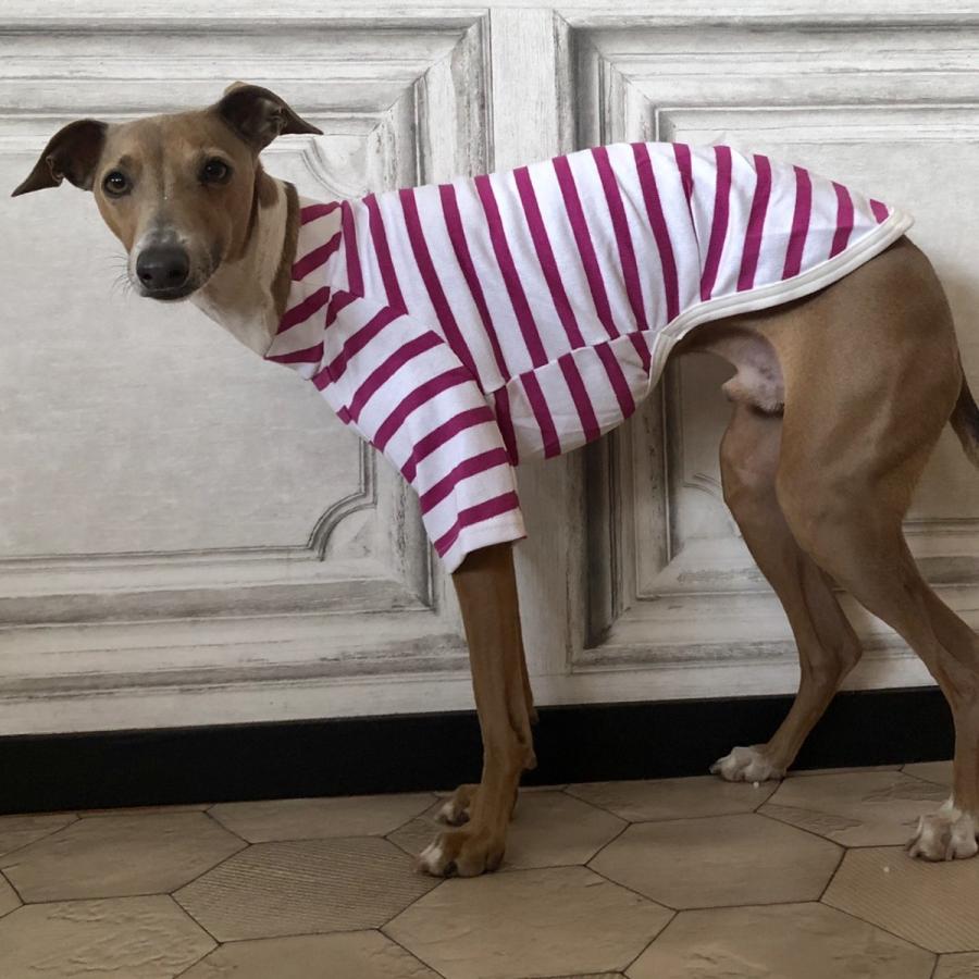 セントジェームス ボーダー（犬服、アクセサリー）｜犬用品