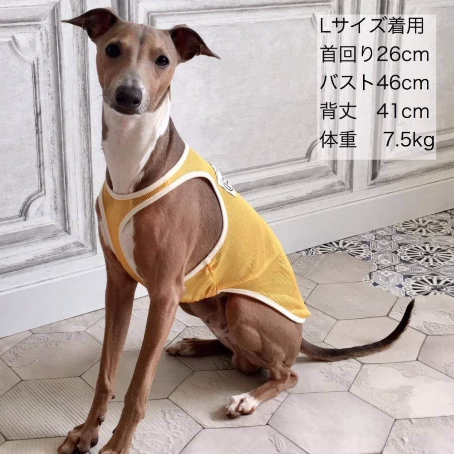 メッシュマッチョタンクトップ （イタリアングレイハウンド イタグレ 